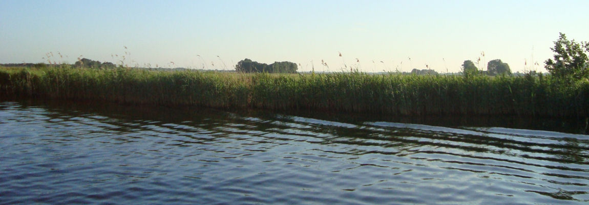 Molsbongerd — photo 3